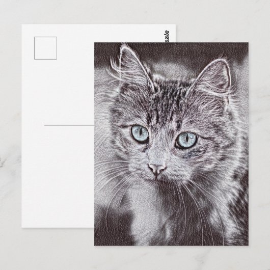 Kattenliefde Cute Kitty Kat Met Lichtgevende Blauw Briefkaart (Voorkant / Achterkant)