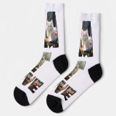 Kattenliefde Ik Knip Foto's Uit Sokken (Links)