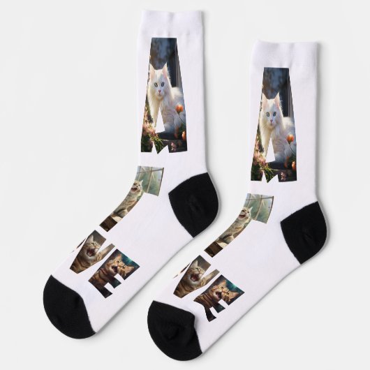 Kattenliefde Ik Knip Foto's Uit Sokken (Links)