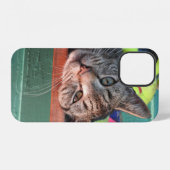 Kattenliefde iPhone hoesje (Achterkant horizontaal)