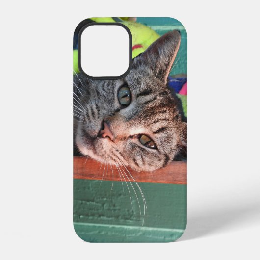 Kattenliefde iPhone hoesje (Achterkant)