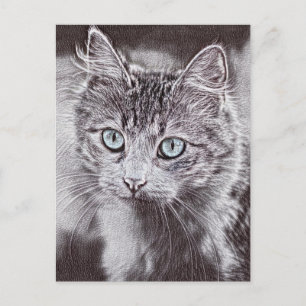 Kattenliefde Mooie Kitten Kat Met Lichtgevende Bla Briefkaart