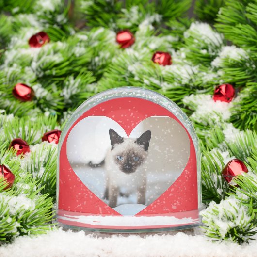 Kattenliefde Sneeuwbol (Kerstmis)