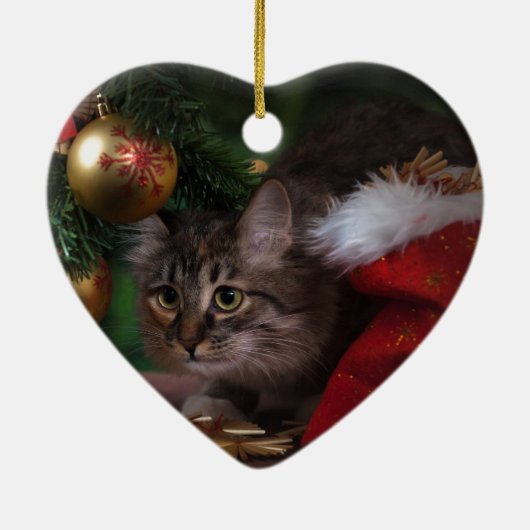 Kattenliefde Vrolijk Kerstfeest Keramisch Ornament (Achterkant)