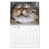 Kattenliefhebber Fotocollage & Grappige Kattengrap Kalender (Jan 2027)