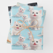 Kattenliefhebber Inpakpapier Vel (In situ)