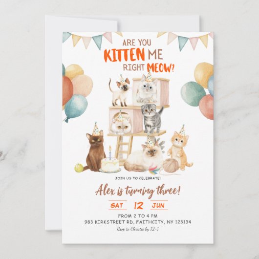 Kattenliefhebber jij kitten nu? Elke verjaardag Kaart (Voorkant)