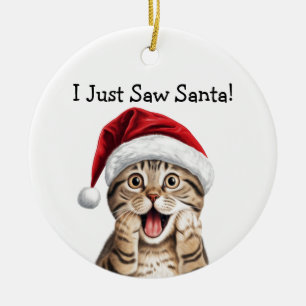 Kattenliefhebber Kerstcadeau Kat Ornament