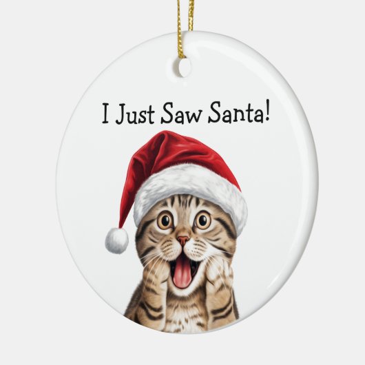 Kattenliefhebber Kerstcadeau Kat Ornament (Links)