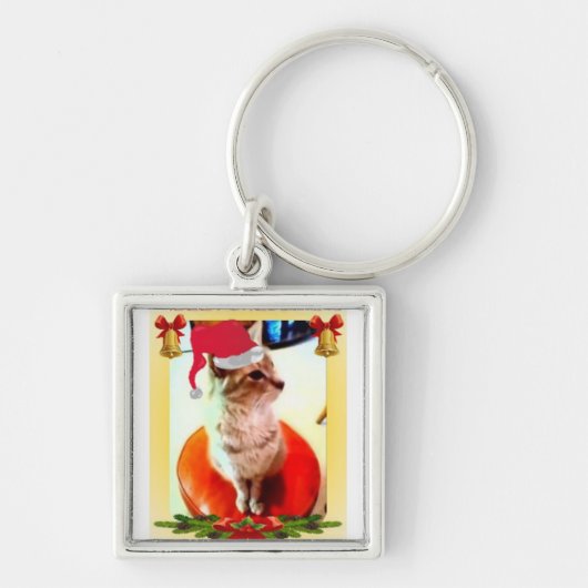 kattenliefhebber sleutelhanger (Voorkant)