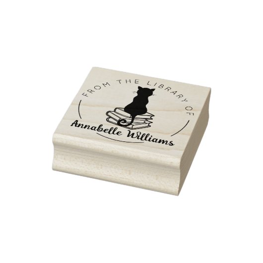 Kattenliefhebber uit de Bibliotheek van Boek Rubberstempel (Stempel)