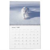 Kattenliefhebbers Kalender (Jan 2027)