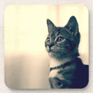 Kattenliefhebbers, kattencadeaus, kattencadeaus, k drankjes onderzetter