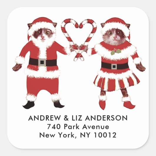 Kattenliefhebbers kerst vakantie labels (Voorkant)