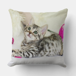 Kattenliefhebbers kussen