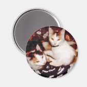 Kattenmagneet comprimeren magneet (Voorkant / Achterkant)