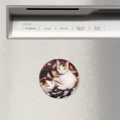 Kattenmagneet comprimeren magneet (Insitu (Vaatwasser))