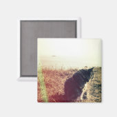  kattenmagneet magneet (Voorkant / Achterkant)