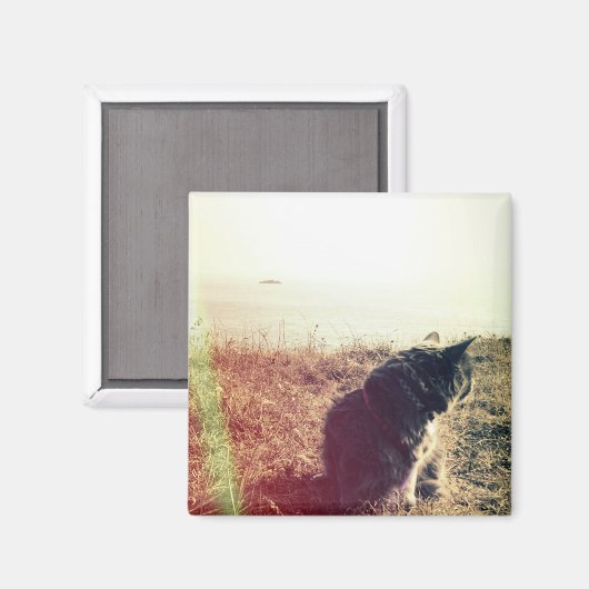 kattenmagneet magneet (Voorkant / Achterkant)