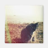  kattenmagneet magneet (Voorkant)