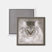 Kattenmagneet - "Merlin" Magneet (Voorkant / Achterkant)