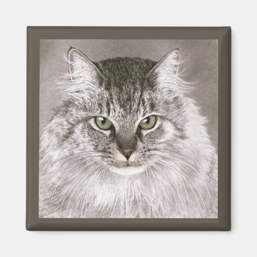 Kattenmagneet - "Merlin" Magneet (Voorkant)