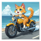 Kattenmama Foto Afdruk (Voorkant)