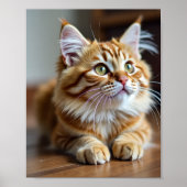 Kattenmama Poster (Voorkant)