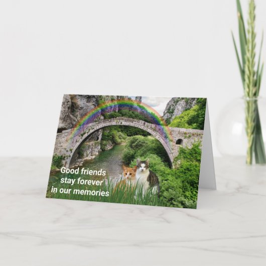 Kattenmedeleven / Regenboogbrug Gedicht Kaart (Voorkant)