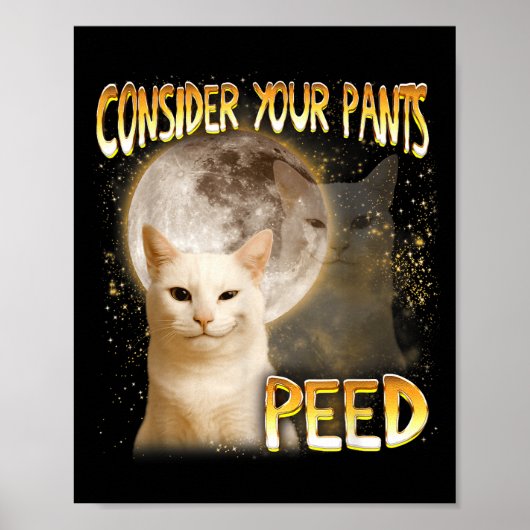 Kattenmeme Kattenliefhebber Kattenmoeder Grappig O Poster (Voorkant)