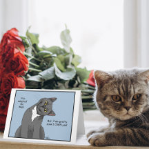 Kattenmoeder Adoptie
