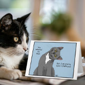 Kattenmoeder Adoptie Kaart