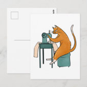  kattennaai briefkaart (Voorkant / Achterkant)