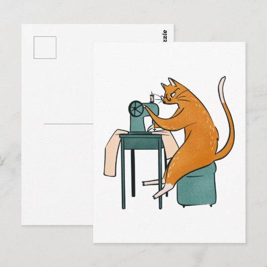  kattennaai briefkaart (Voorkant / Achterkant)