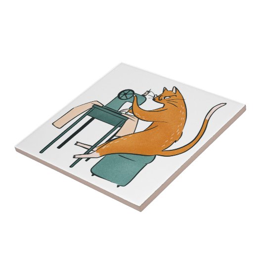 kattennaai tegeltje (Zijkant)