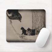 Kattennesten Muismat (Met muis)