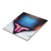 Kattenneus Tegels Keramische Tegel Sets Tegeltje (Zijkant)