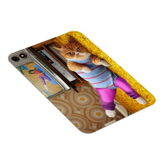 Kattenoefening Magneet (Rechterzijde)