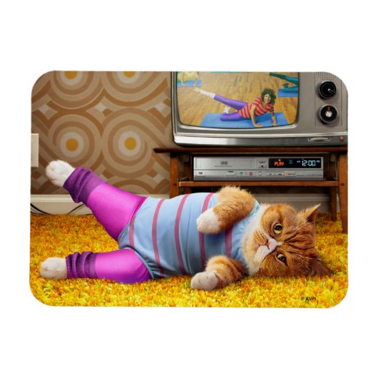 Kattenoefening Magneet (Horizontaal)