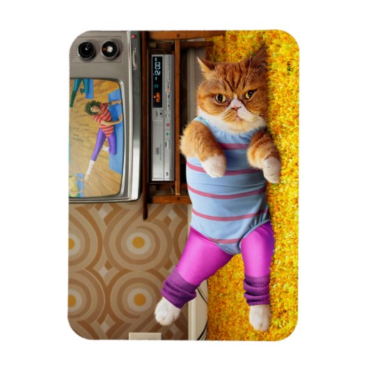 Kattenoefening Magneet (Verticaal)