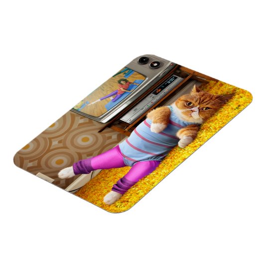 Kattenoefening Magneet (Linkerzijde)