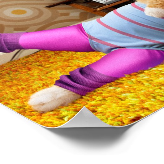 Kattenoefening Poster (Hoek)