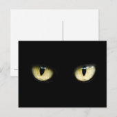 Kattenogen Briefkaart (Voorkant / Achterkant)
