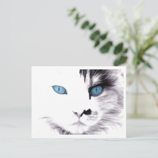 Kattenogen Briefkaarten (Staand voorkant)