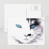 Kattenogen Briefkaarten (Voorkant / Achterkant)