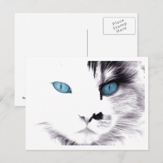 Kattenogen Briefkaarten (Voorkant / Achterkant)