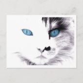 Kattenogen Briefkaarten (Voorkant)