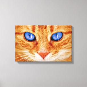 Kattenogen gezicht Tijger makreel rode Kat Canvas Afdruk