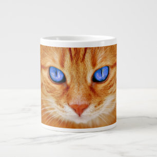 Kattenogen Gezicht Tijger Makreel rode Kat Grote Koffiekop