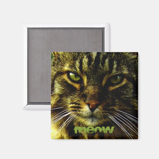 Kattenogen hypnotiserende foto magneet (Voorkant / Achterkant)